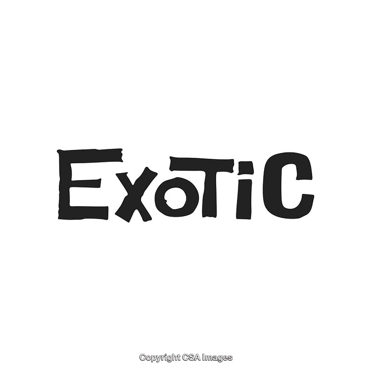 Handwritten Typography Word Art with Exotic and Unique Style
