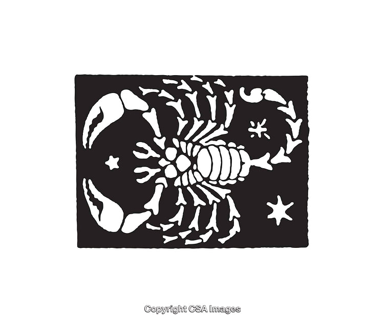 Black and White Line Art Illustration of a Scorpion Design