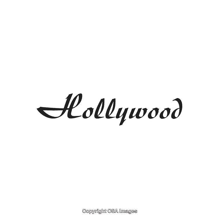 Elegant Handwritten Hollywood Text Art on White Background