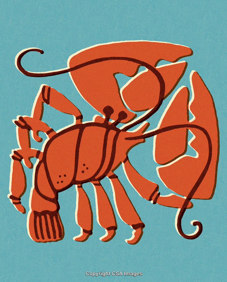 Abstract Artistic Drawing of a Lobster with Bold Colors and Simplified Design