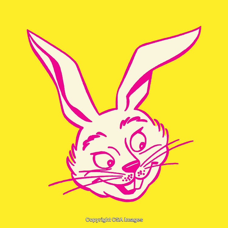 Illustration of a Cheerful Bunny Face on a Bright Yellow Background