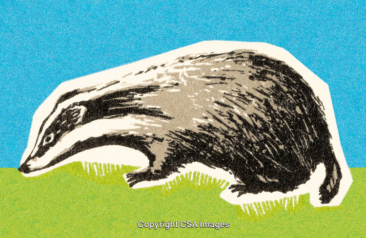 Illustrated Badger in a Vibrant Outdoor Colorful Scene