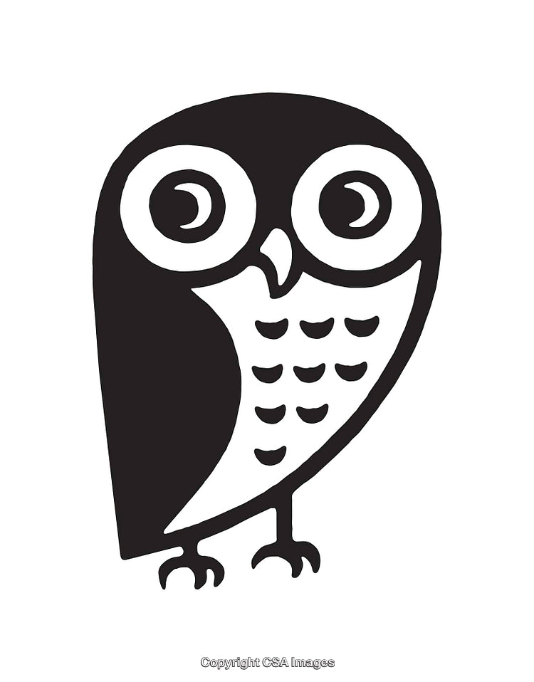 Black and White Line Art Illustration of a Stylized Owl