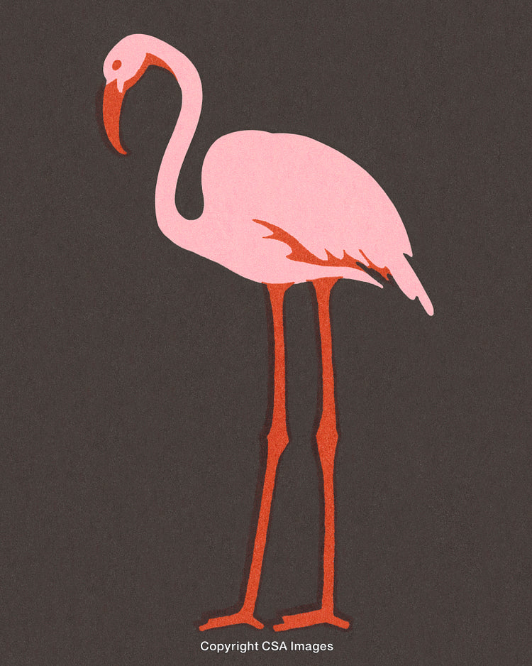 Pink Flamingo Illustration with Dark Background in a Minimalist Art Style