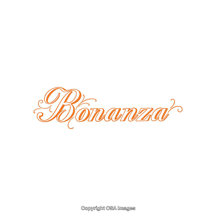 Elegant Orange Decorative Text in Classic Calligraphy Style on White Background