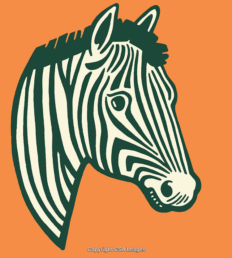 Colorful Zebra Illustration with Bold Orange Background