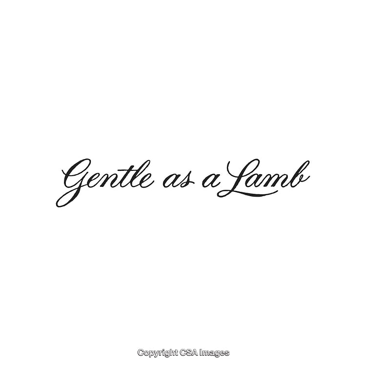 Elegant Calligraphy Highlighting Poetic Phrase 'Gentle As a Lamb'