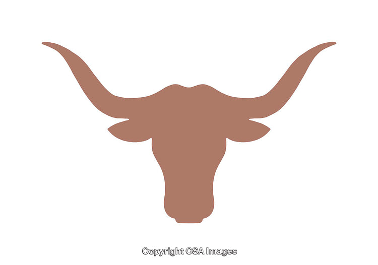 Silhouette of a Longhorn Bull Head Icon Representing Strength and Tradition