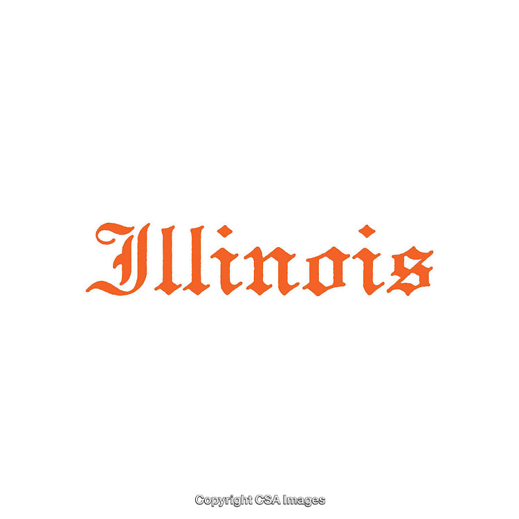 Vintage Style Illinois Typography in Orange on a Clean White Background