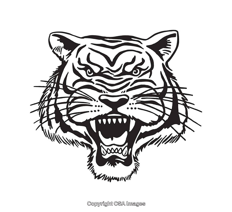 Fierce Tiger Head Illustration in Black and White Line Art