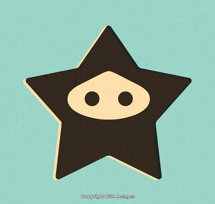 Abstract Star Illustration With Playful and Minimalist Design on Teal Background