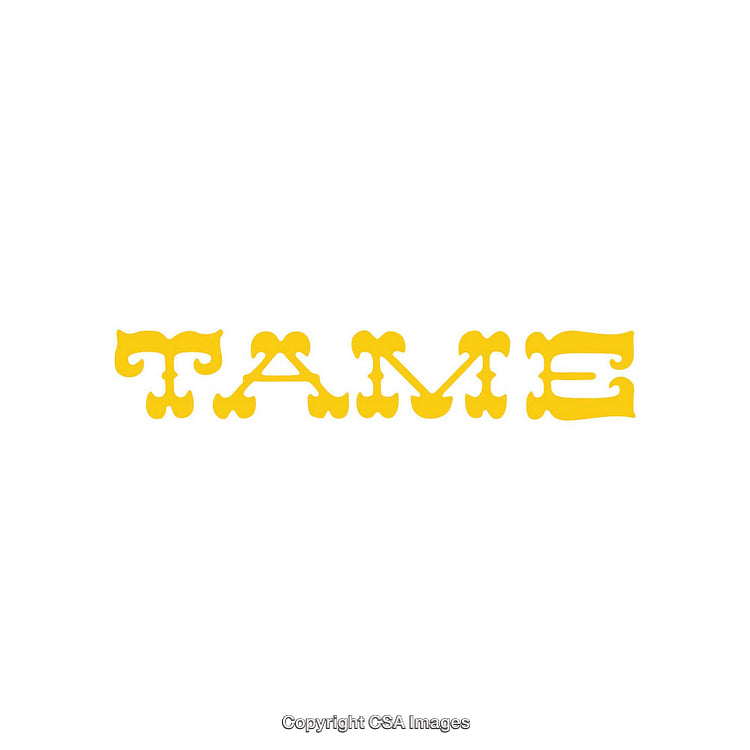 Minimalistic Yellow Tame Design Word Art with Decorative Font