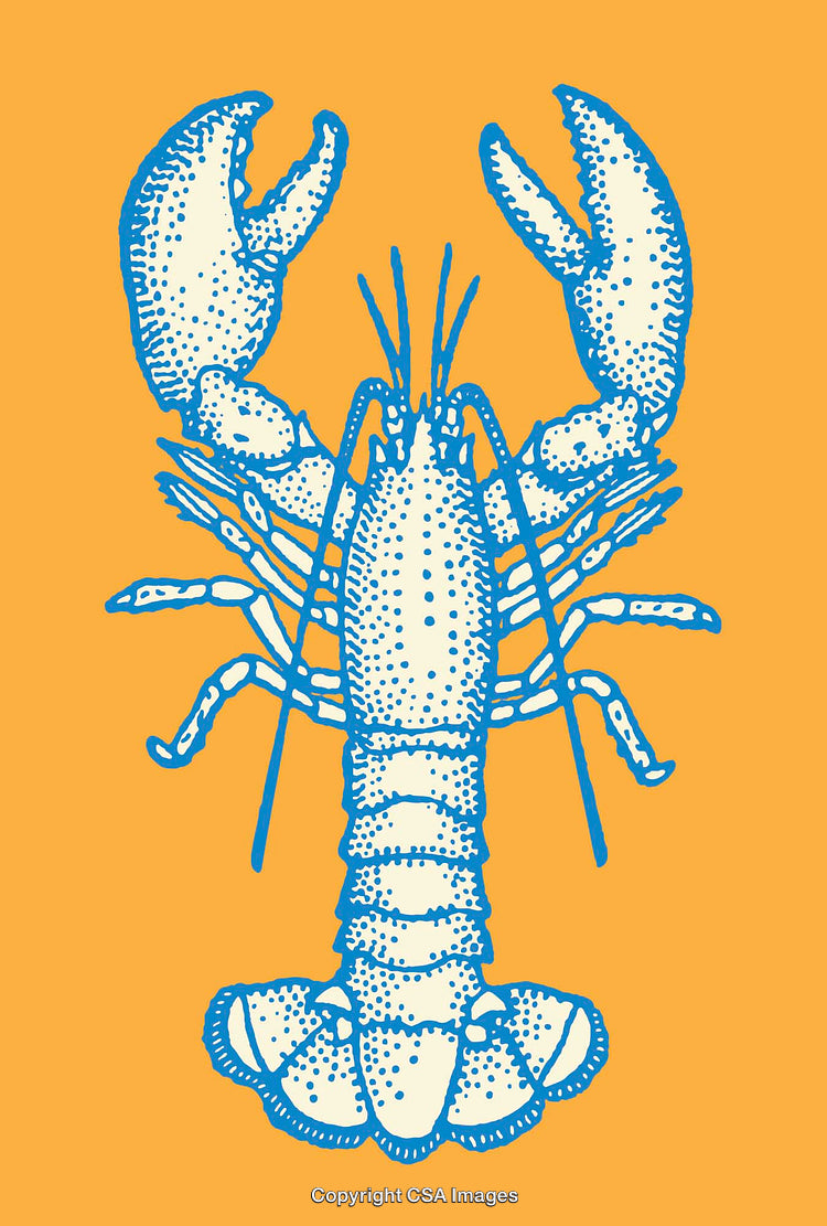 Blue Lobster Illustration on Bright Orange Background in Line Art Style