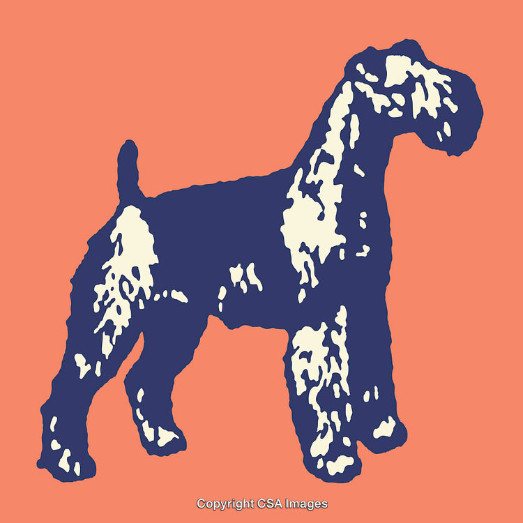 Color Line Art Illustration of a Dog on a Vibrant Colorful Background