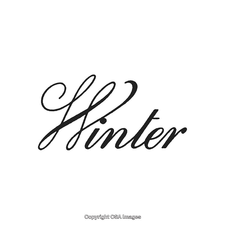 Elegant Winter Typography with Black Script on White Background