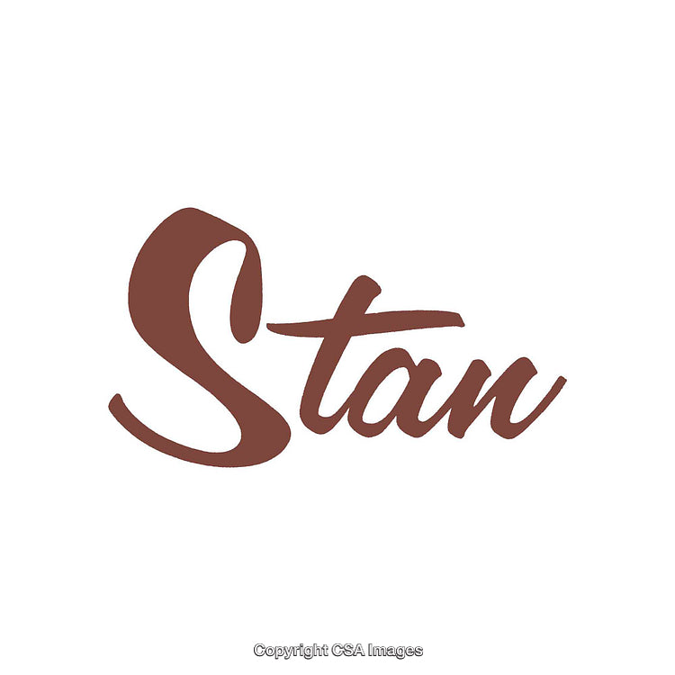 Elegant Handwritten Style Typography with Brown Script Text on White Background