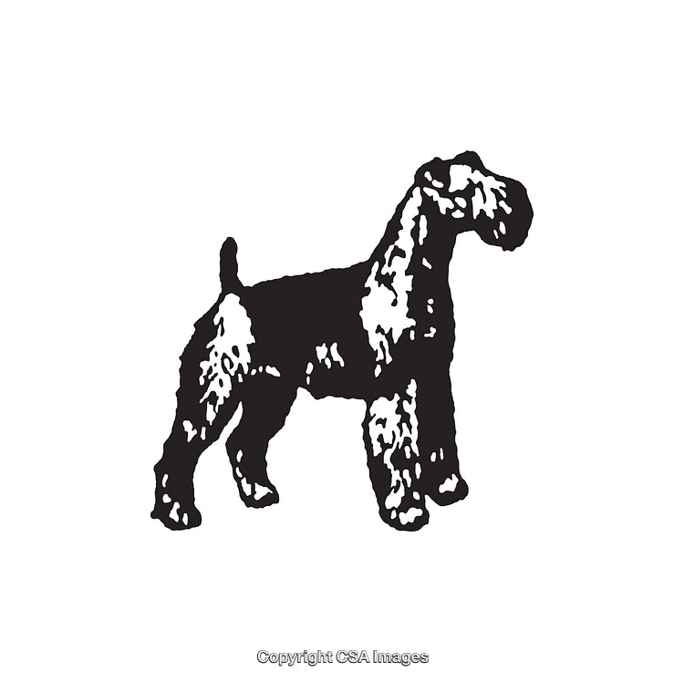 Black and White Line Art Illustration of a Terrier Dog