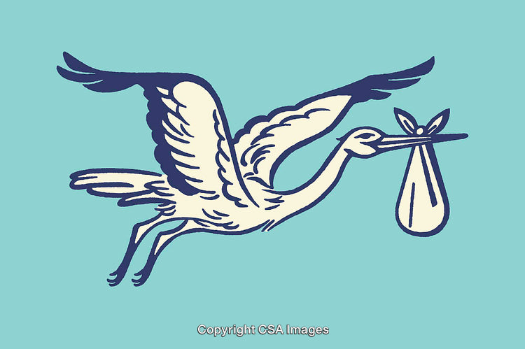 Flying Stork Carrying Baby Bundle, Symbolizing Newborns and Parenthood