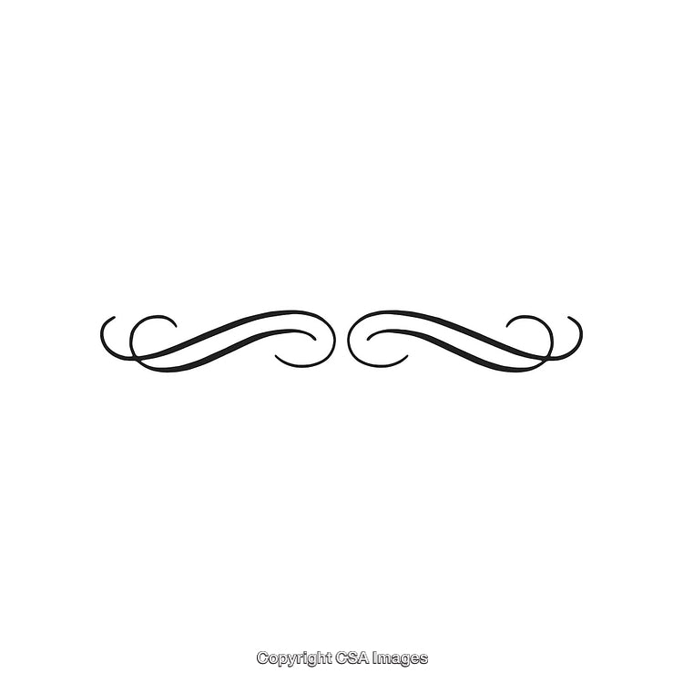 Elegant Black and White Decorative Flourish Design Element
