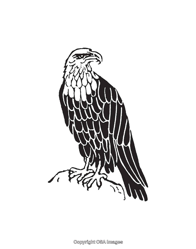 Black and White Line Art Illustration of an Eagle on a Perch