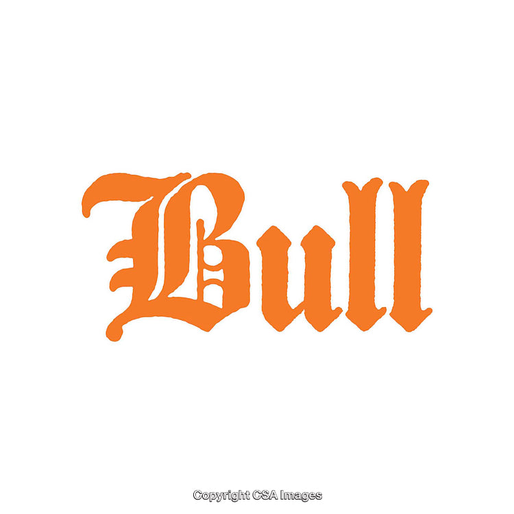 Orange Bull Text in Ornate Gothic Typeface on White Background