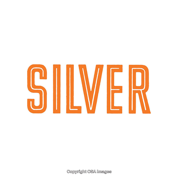 Bold Orange Text Reading 'Silver' in a Minimalist Style