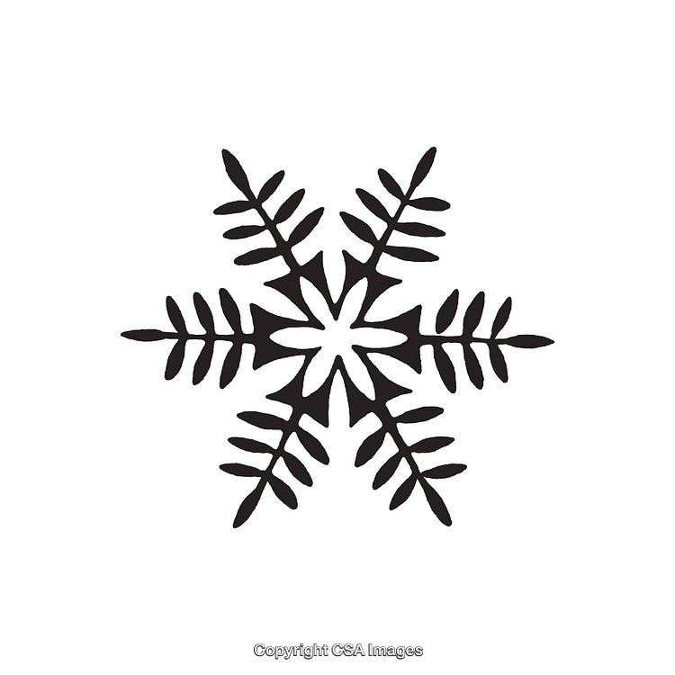 Detailed Black and White Snowflake Dingbat Design