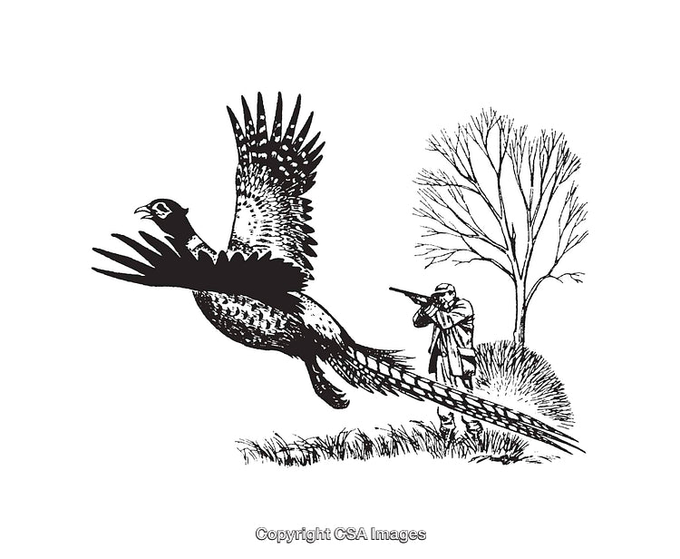 Black And White Illustration of Hunter Shooting A Bird in Flight