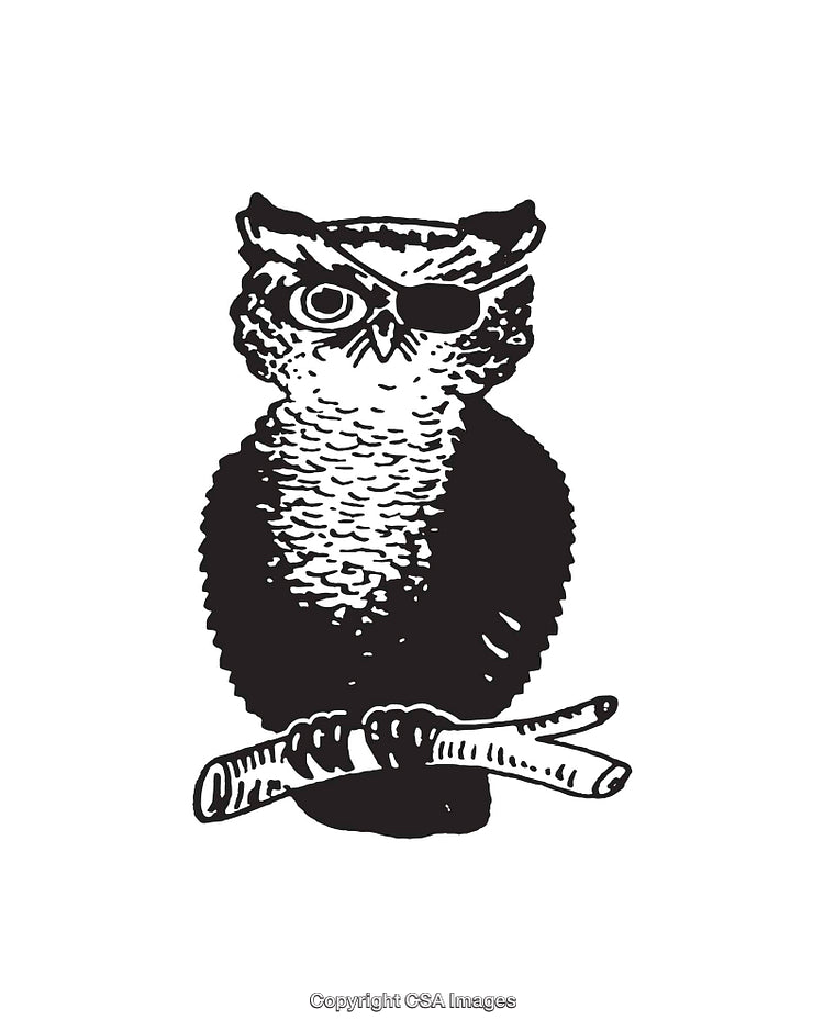 Black and White Owl Illustration Wearing Eye Patch Holding Wings Crossed