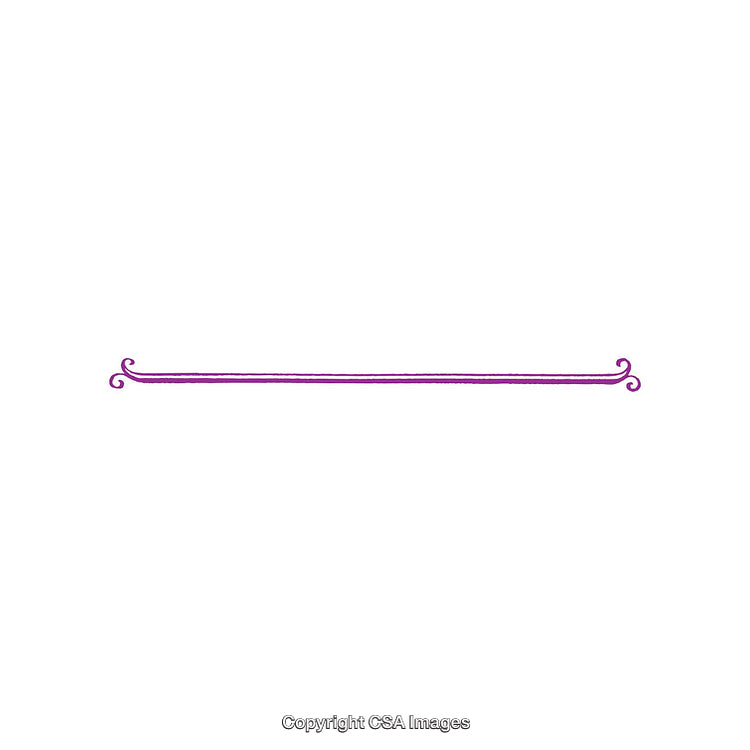 Purple Ornamental Divider with Elegant Swirls on White Background