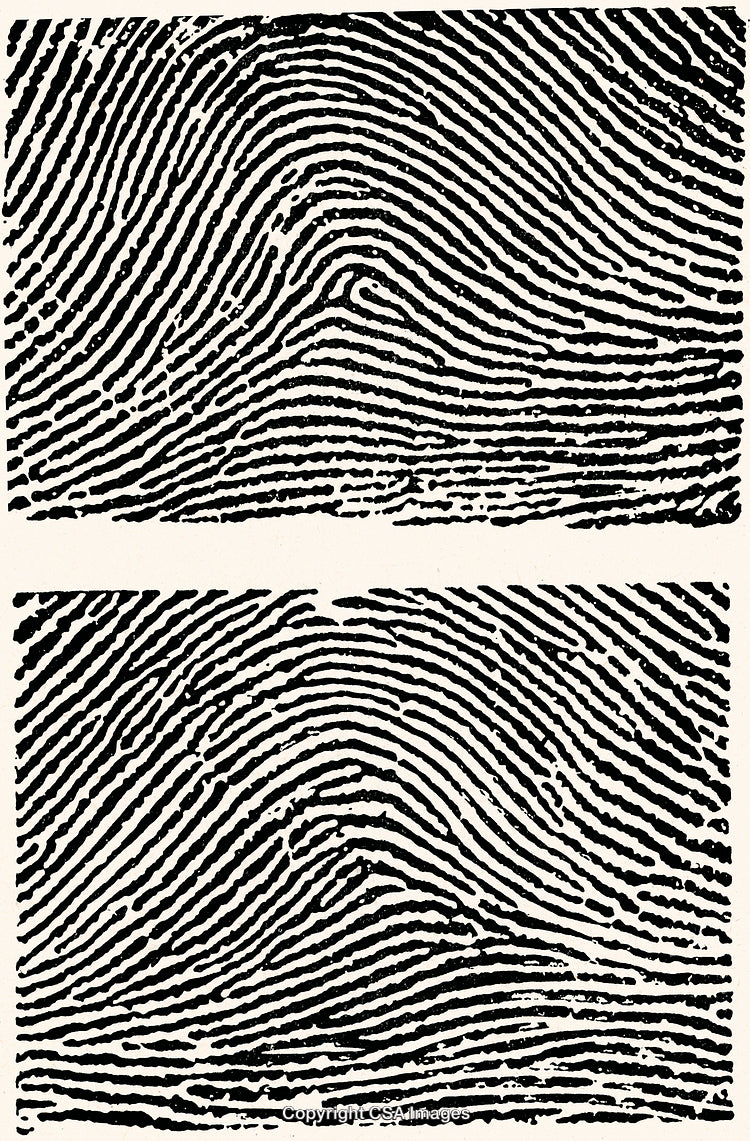 Detailed Black and White Fingerprint Art in Close-Up View