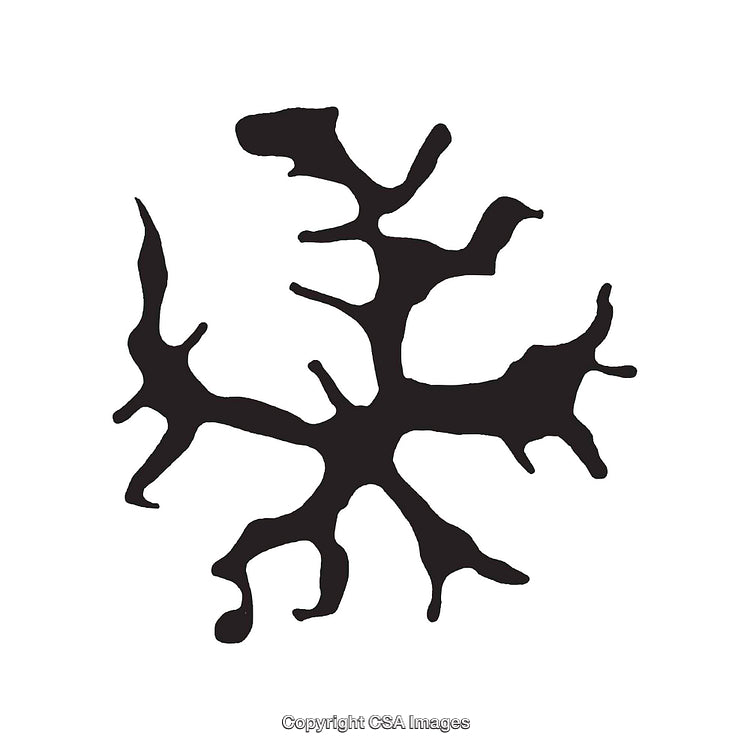 Abstract Organic Black Shape on White Background
