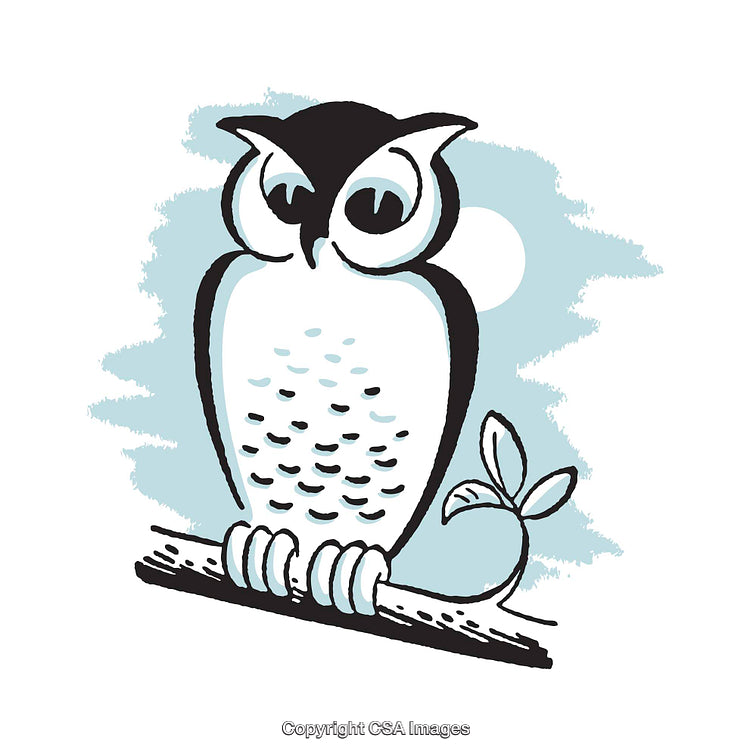 Stylized Owl Illustration Perched on a Branch with Aesthetic Background