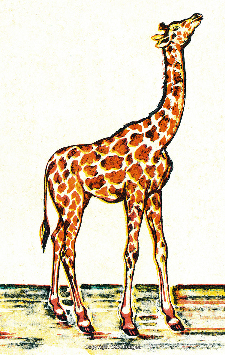 Illustration of a Giraffe in a Playful Cartoon Style