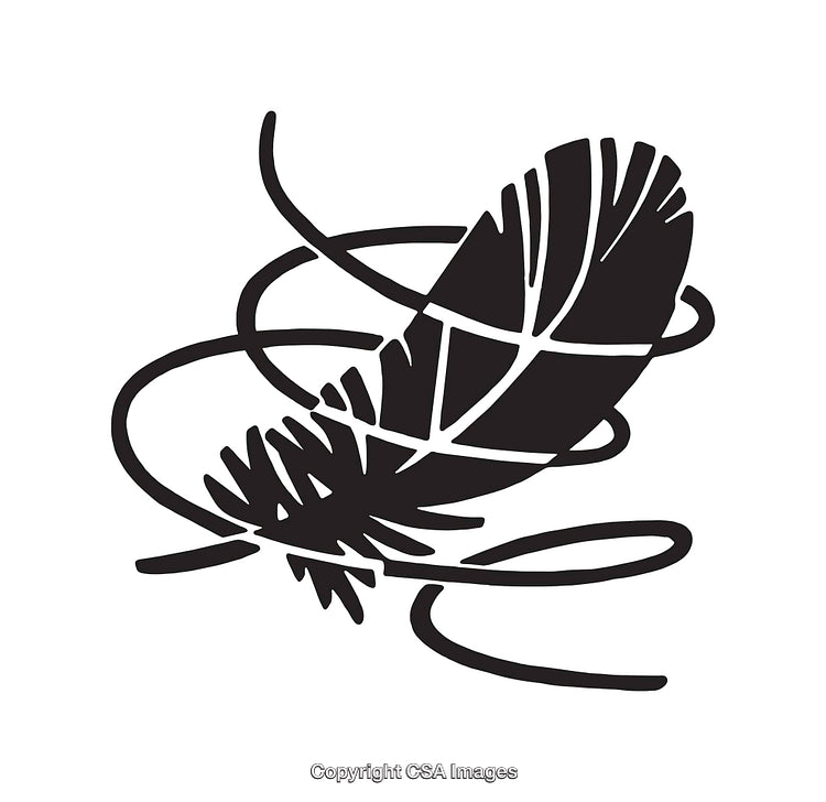 Illustrated Black and White Feather with Artistic Line Art Design