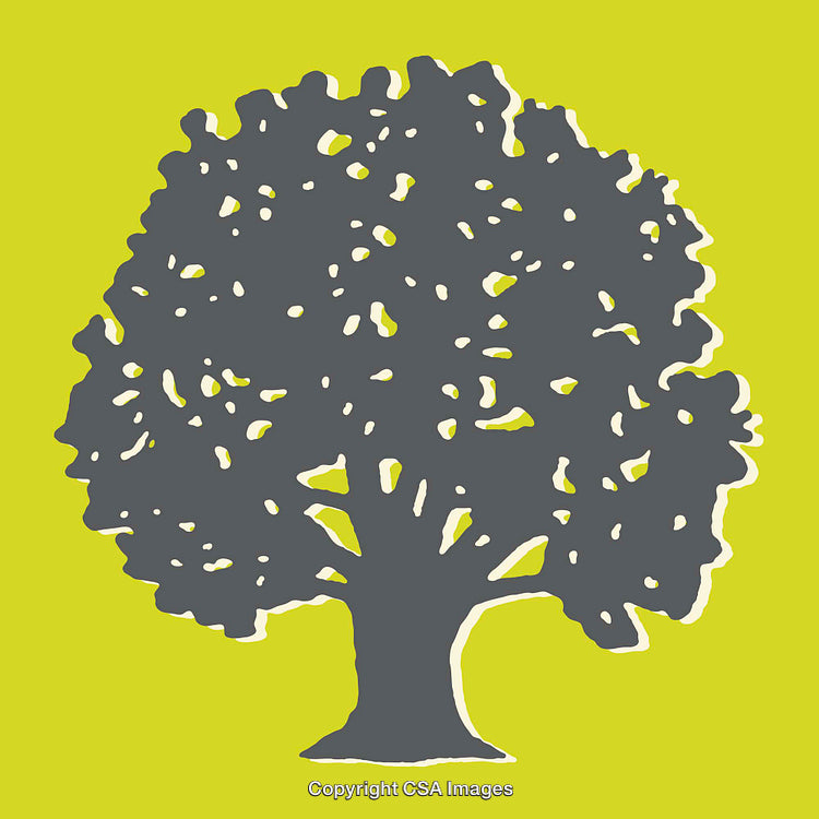 Decorative Line Art Illustration of a Tree on Bright Background