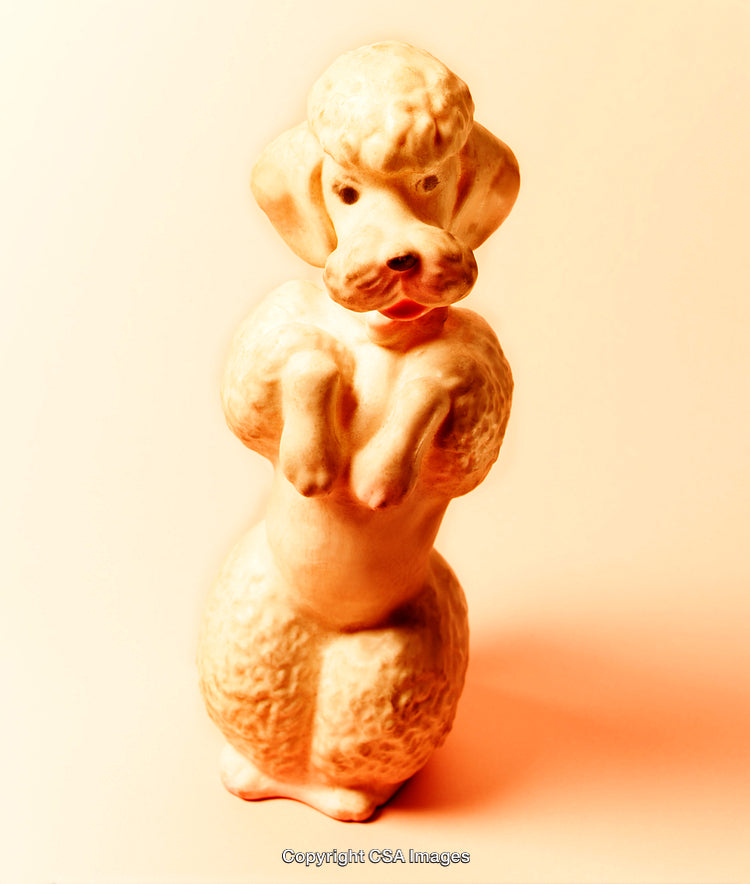 Vintage Ceramic Poodle Figurine in Elegant Stance with Gentle Warm Lighting