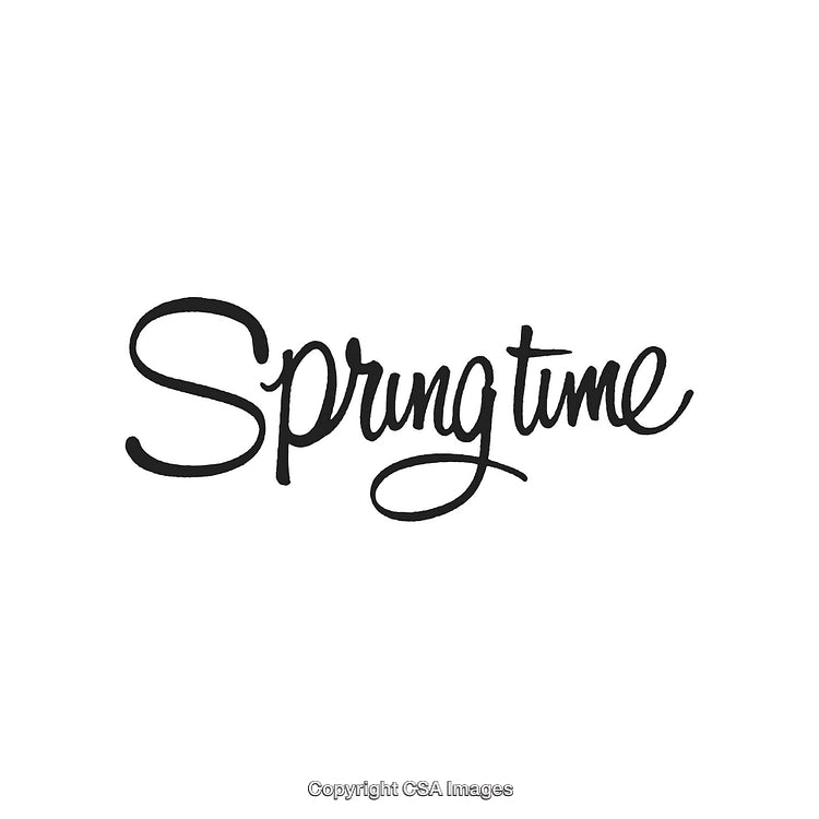 Handwritten "Springtime" Text in Elegant Calligraphy on White Background