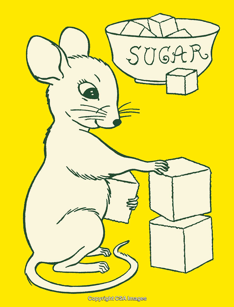 Illustration of a Mouse and Sugar Cubes in Bright Line Art