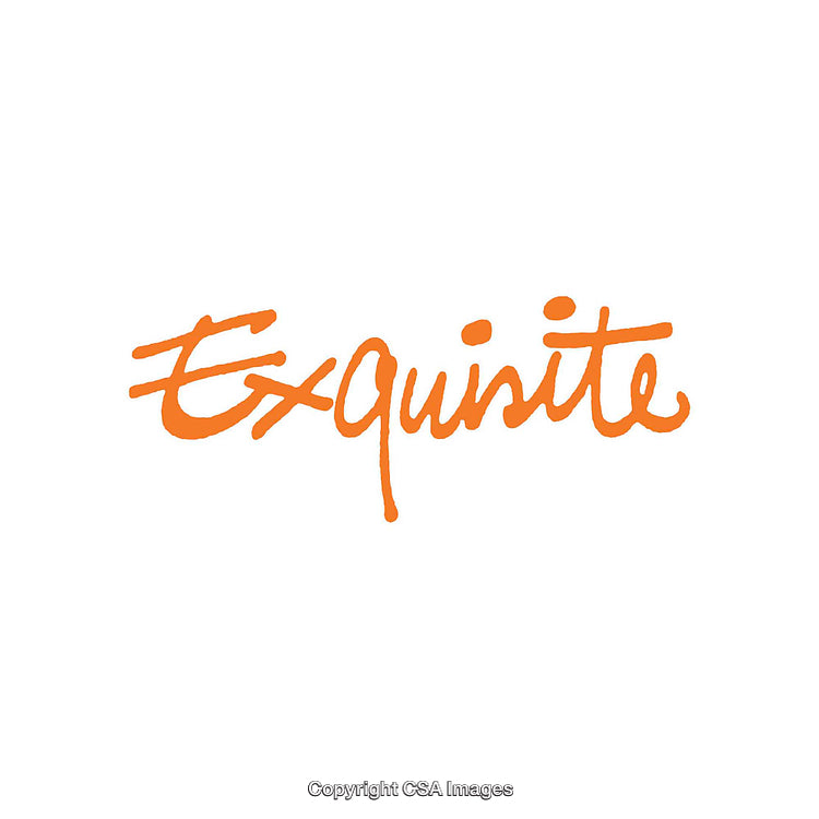 Handwritten Orange Exquisite Text on a Clean White Background