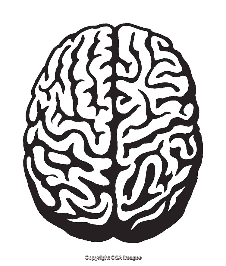 Black and White Line Art Illustration of a Human Brain