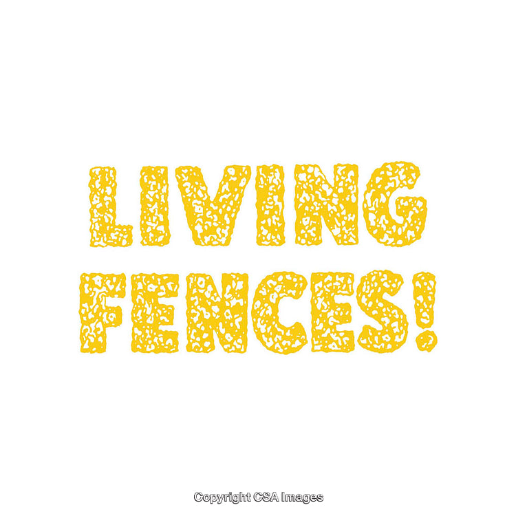 Bright Yellow Typeface Design Featuring Bold Text and Decorative Texture