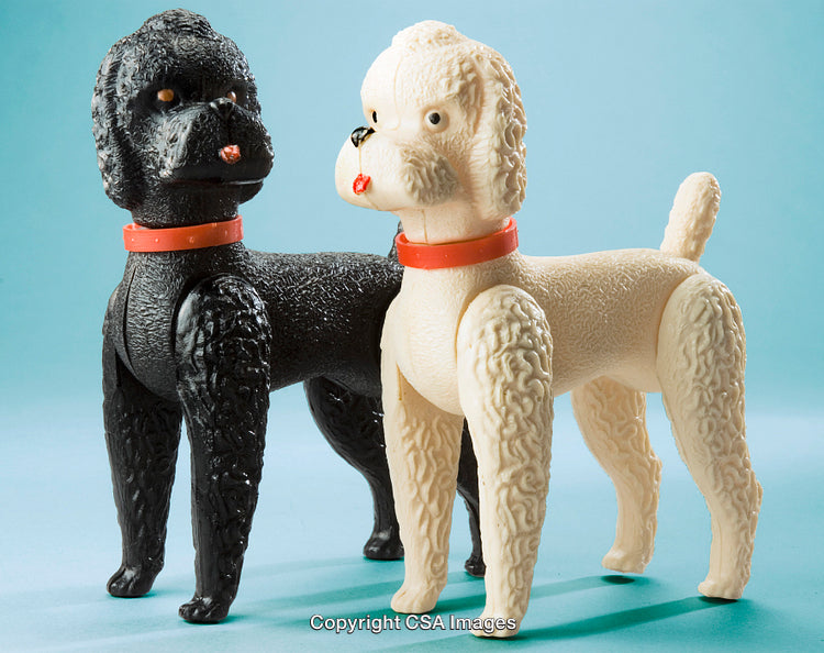 Black and White Plastic Toy Poodles in Red Collars on Blue Background