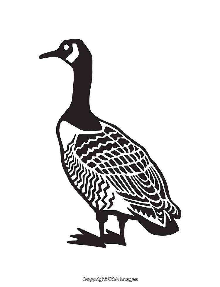 Black and White Line Art Illustration of a Goose