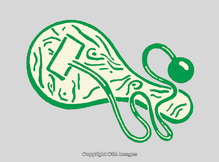 Abstract Green and White Line Art Illustration on a Gray Background