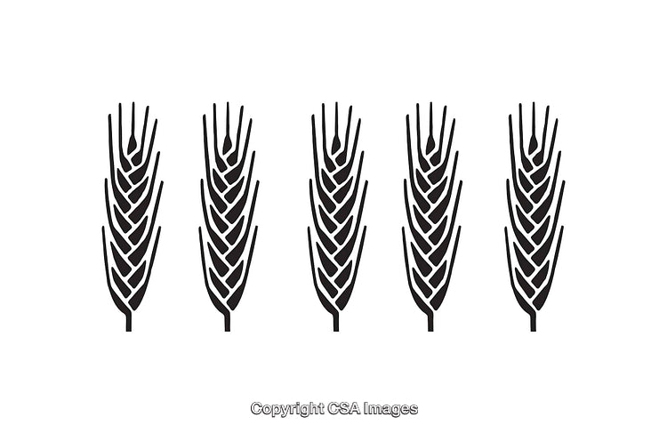 Black and White Wheat Icons Representing Agriculture and Farming