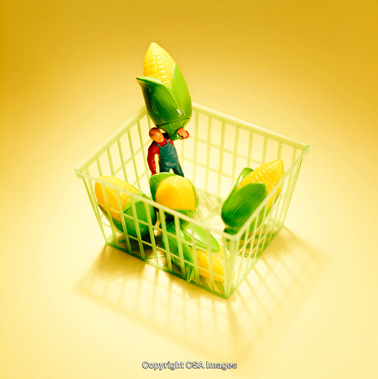 Miniature Farmer with Oversized Corn in a Plastic Basket on Yellow Surface