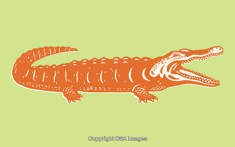Colorful Illustration of an Orange Crocodile on a Green Background