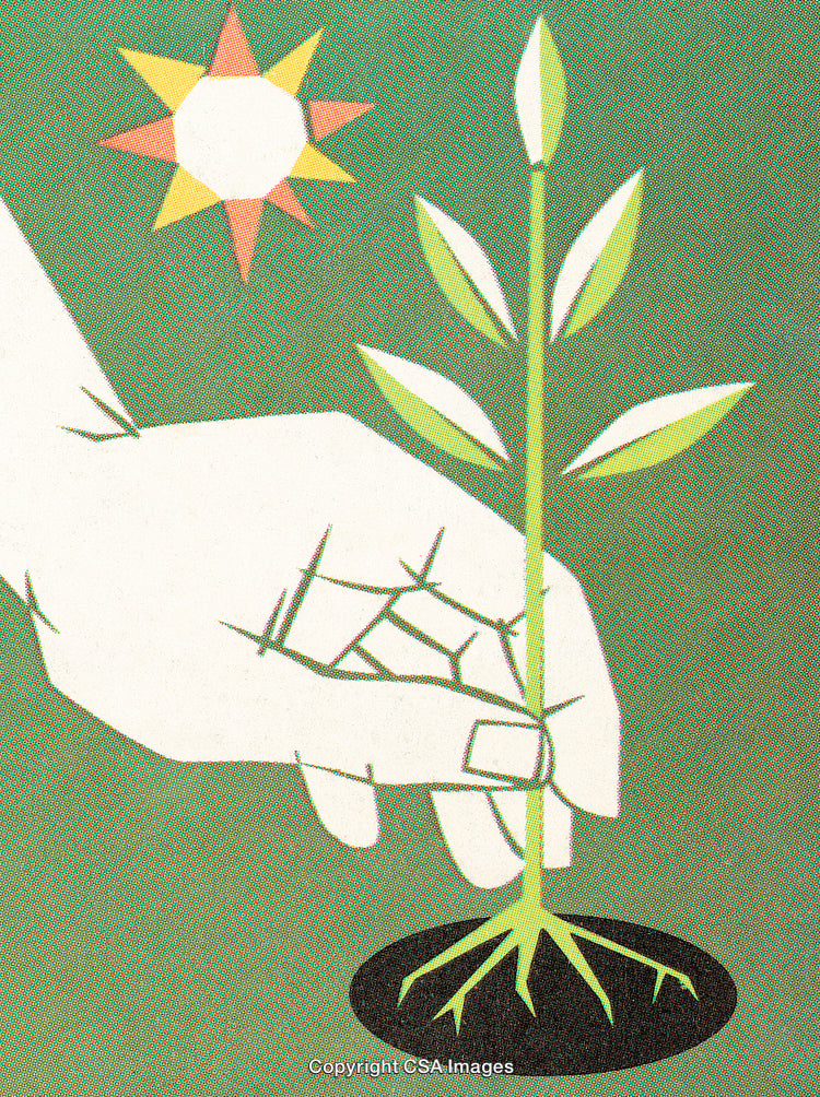 Hand Planting a Seedling Under Sun in Minimalist Artwork
