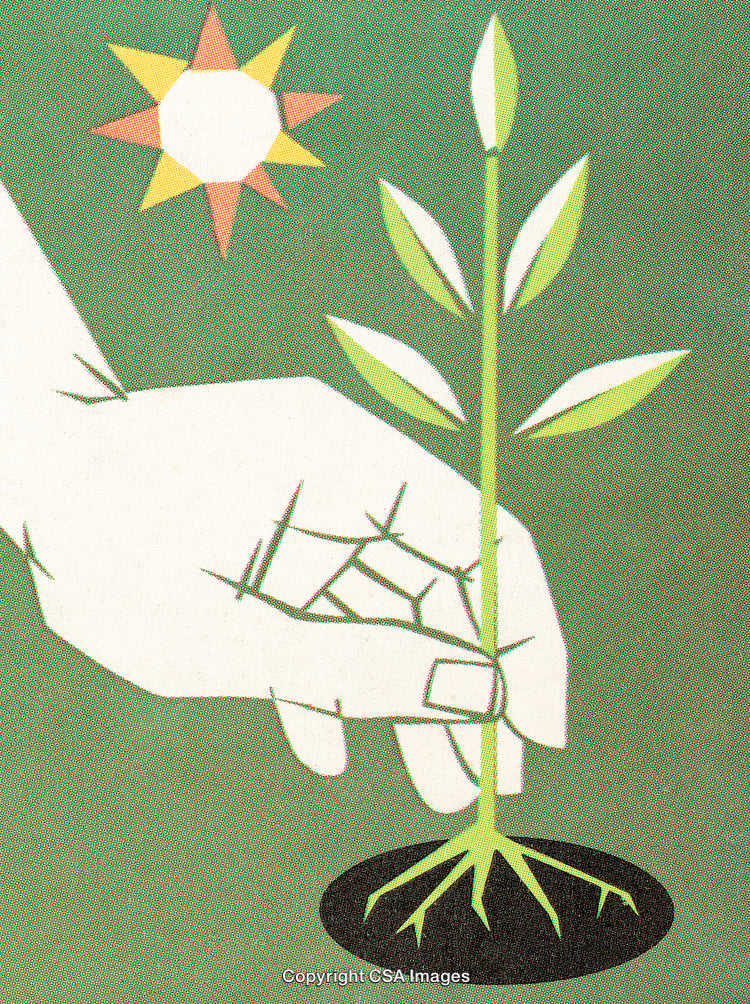 Hand Planting a Seedling Under Sun in Minimalist Artwork